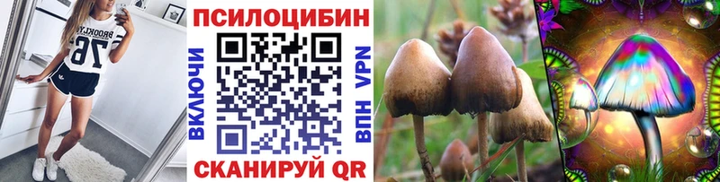 Псилоцибиновые грибы ЛСД  наркота  Сальск 