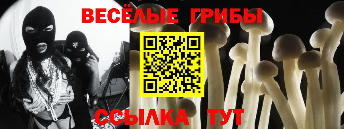 Псилоцибиновые грибы мухоморы Сальск