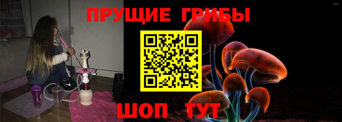Псилоцибиновые грибы Psilocybine cubensis  Вход с VPN  Псилоцибиновые грибы мицелий  Сальск 