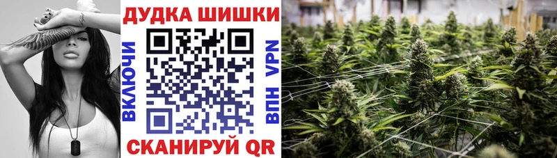 Конопля индика Сальск