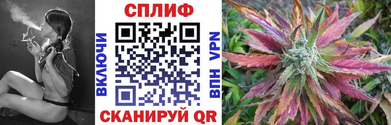 Бошки Шишки марихуана  где купить наркотик  Сальск 