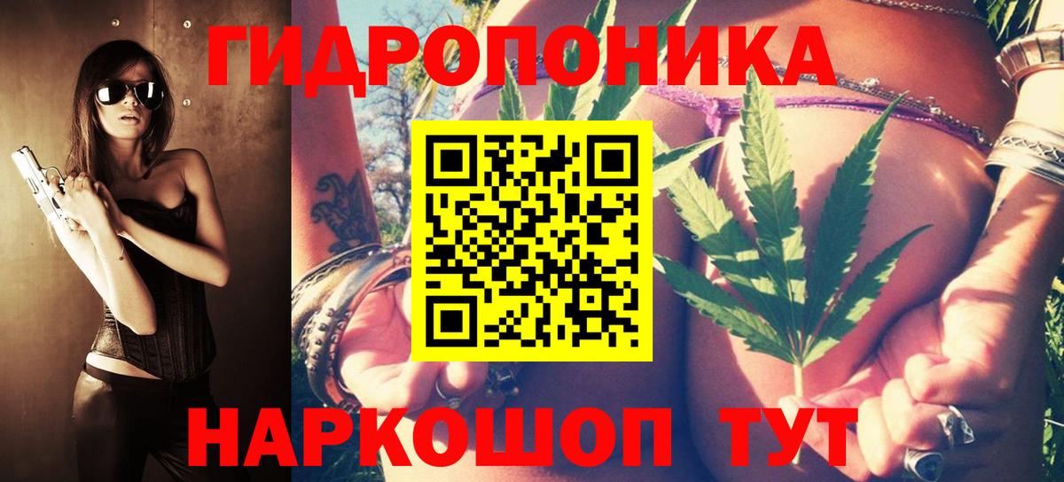 Шишки марихуана VHQ Сальск