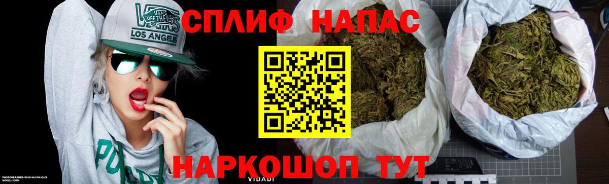 Каннабис планчик Сальск